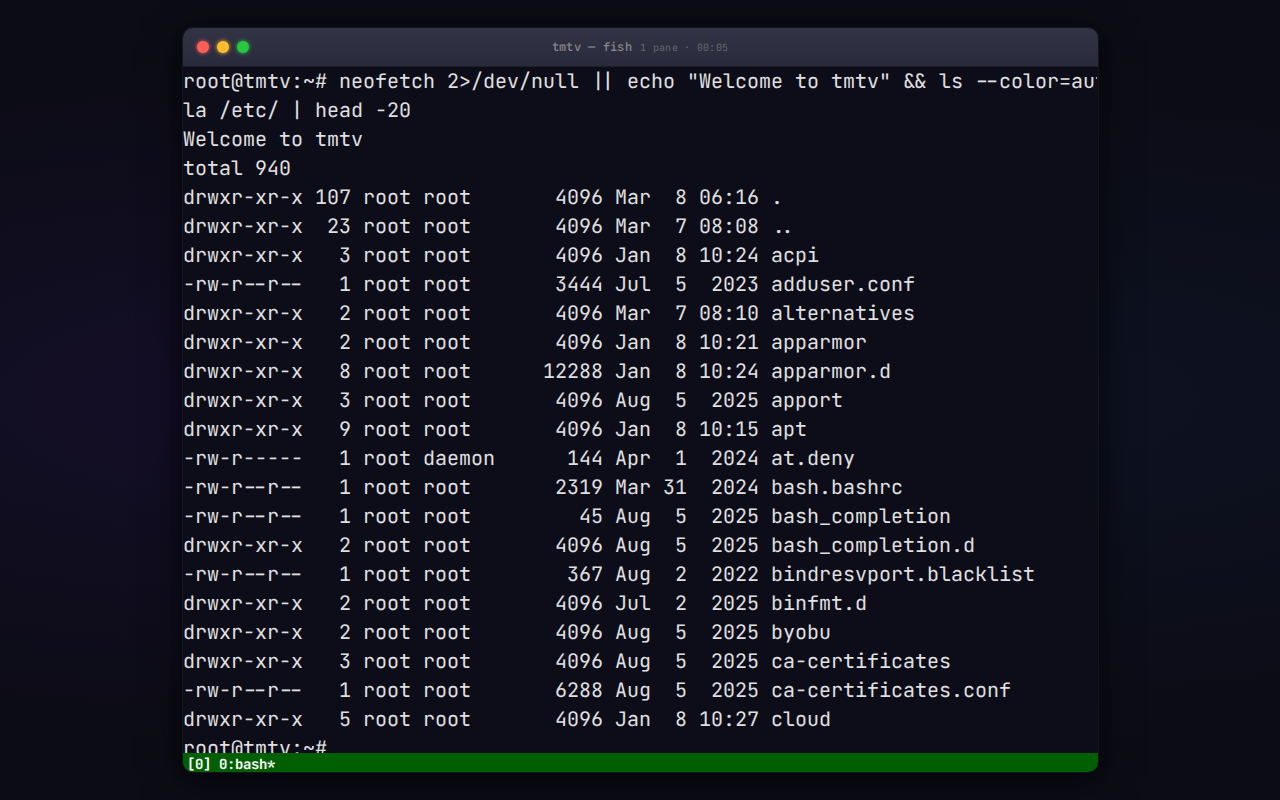 tmtv viewer showing a normal tmux session with split panes