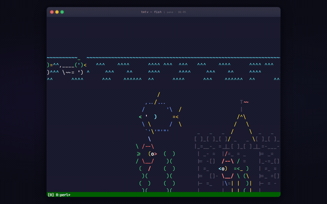 tmtv web viewer showing a live terminal session with real-time output